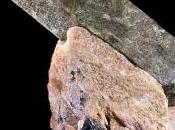 paradosso dell’apatite lunare