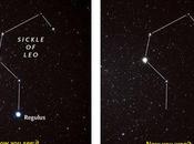 L'asteroide Erigone eclissato stella Regulus