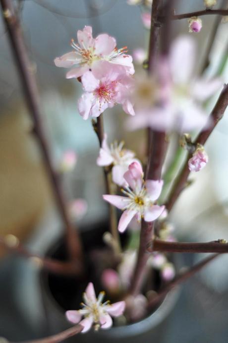 Novità di Primavera: Maggio al Poggio