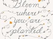 Bloom...