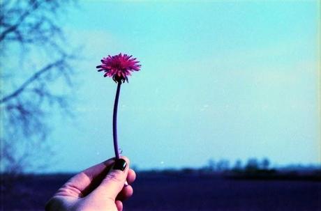 Una gita in campagna con le PURPLE - Lomography LomoChrome Purple XR 100 - 400 pt.2