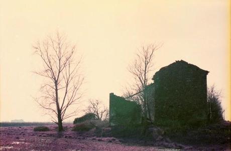 Una gita in campagna con le PURPLE - Lomography LomoChrome Purple XR 100 - 400 pt.2