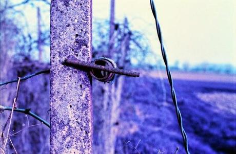 Una gita in campagna con le PURPLE - Lomography LomoChrome Purple XR 100 - 400 pt.2