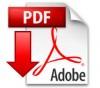 Download pdf