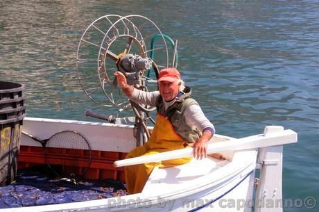 POSITANO : è scoppiata la Primavera ...