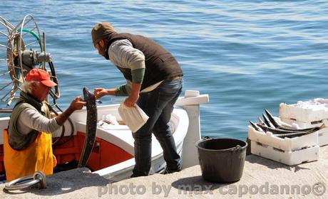 POSITANO : è scoppiata la Primavera ...