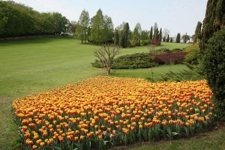 sigurtà-Tulipani-Aprile-2012-098