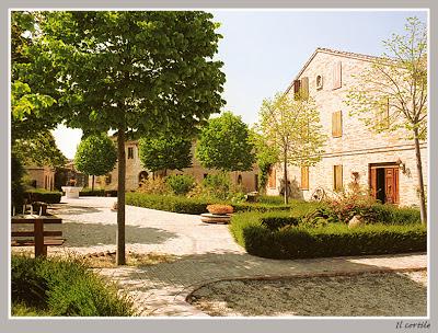 A Macerata un matrimonio 