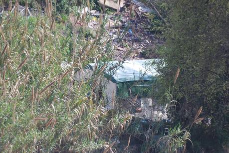 Tutte le foto dell'accampamento abusivo sotto a Ponte Testaccio. Nel Primo Municipio. Area Unesco. 20 metri dal Macro. 15 metri dall'Università