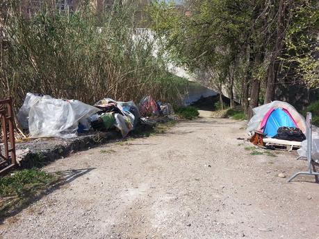 Tutte le foto dell'accampamento abusivo sotto a Ponte Testaccio. Nel Primo Municipio. Area Unesco. 20 metri dal Macro. 15 metri dall'Università