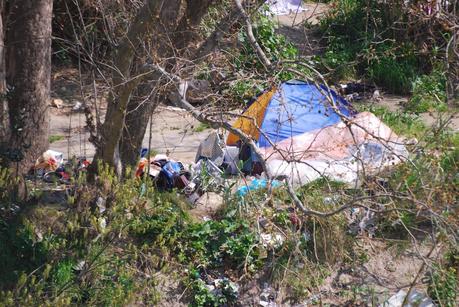 Tutte le foto dell'accampamento abusivo sotto a Ponte Testaccio. Nel Primo Municipio. Area Unesco. 20 metri dal Macro. 15 metri dall'Università