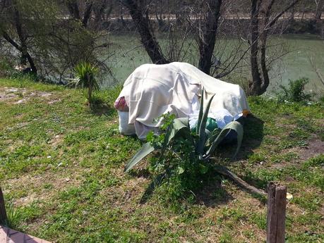 Tutte le foto dell'accampamento abusivo sotto a Ponte Testaccio. Nel Primo Municipio. Area Unesco. 20 metri dal Macro. 15 metri dall'Università