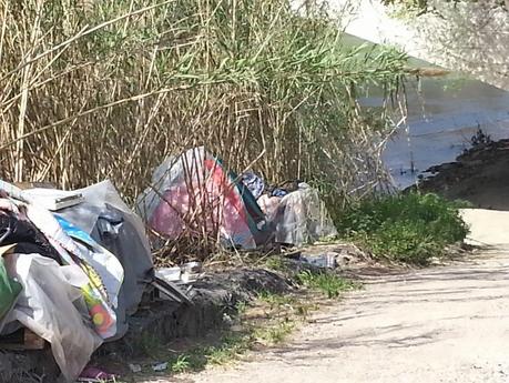 Tutte le foto dell'accampamento abusivo sotto a Ponte Testaccio. Nel Primo Municipio. Area Unesco. 20 metri dal Macro. 15 metri dall'Università