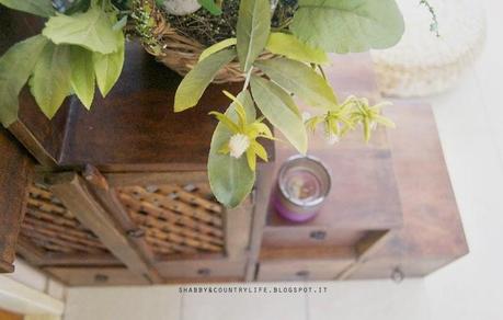 Primo weekend di Primavera- shabby&countrylife.blogspot.it