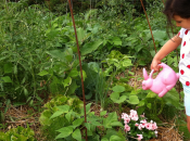 Italia, boom degli orti urbani. aumento passione “terra”