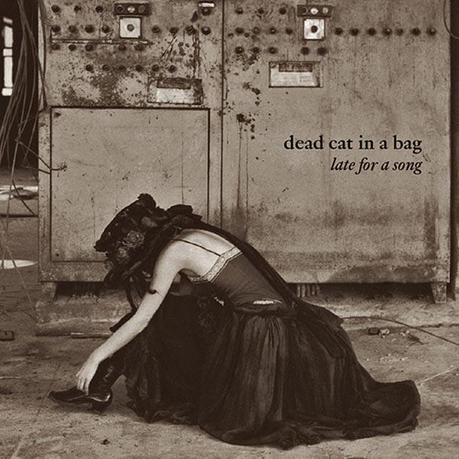 Dead Cat In A Bag
