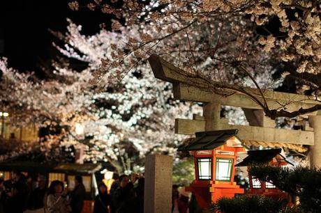 Shinbashi di notte