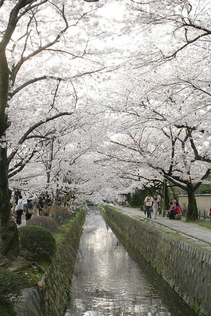 Il sentiero della filosofia Kyoto