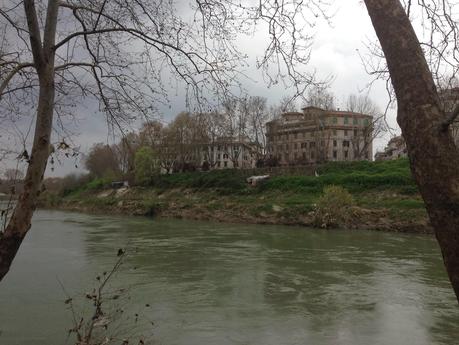 Su Lungotevere Testaccio, lungo gli argini del fiume, sta praticamente nascendo, indisturbata, un'altra città. Immaginatevi sulla Senna, sul Manzanarre o sul Tamigi