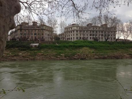 Su Lungotevere Testaccio, lungo gli argini del fiume, sta praticamente nascendo, indisturbata, un'altra città. Immaginatevi sulla Senna, sul Manzanarre o sul Tamigi