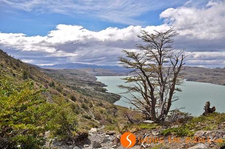 Parco Nazionale Torres del Paine