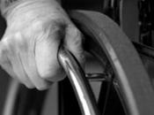 Falso invalido scoperto Palmi