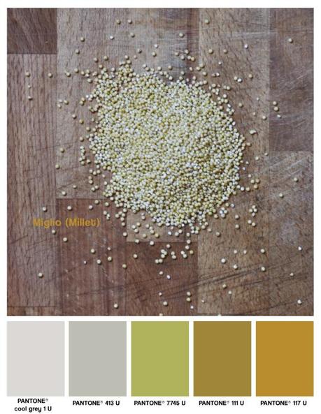 miglio, millet, food, colors, rubriche, 