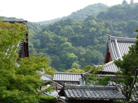 Tenryu-Ji & Fushimi-Inari