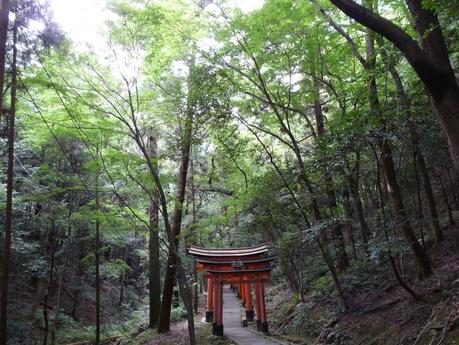 Tenryu-Ji & Fushimi-Inari