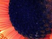 FESTA PAPA' (non loro, mia)