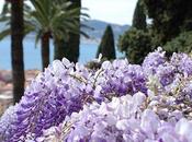 giardini Villa della Pergola Alassio