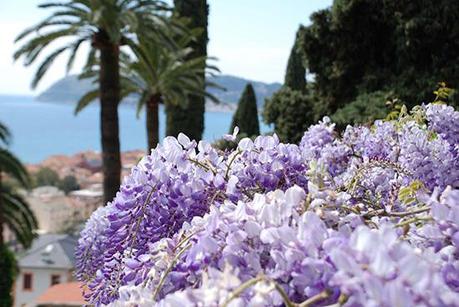 Villa della Pergola, Alassio