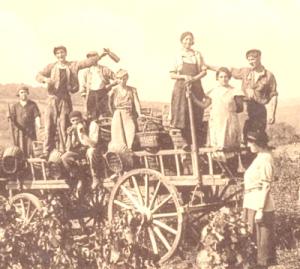 contadini del 1800