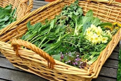 Il gusto della Svizzera | Il Canton Ticino: specie rare ed erbe selvatiche DSC_1358