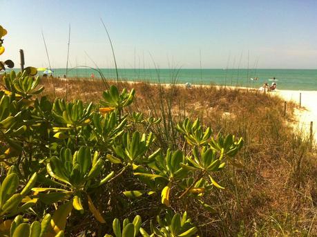 Everglades: da Naples a Miami.