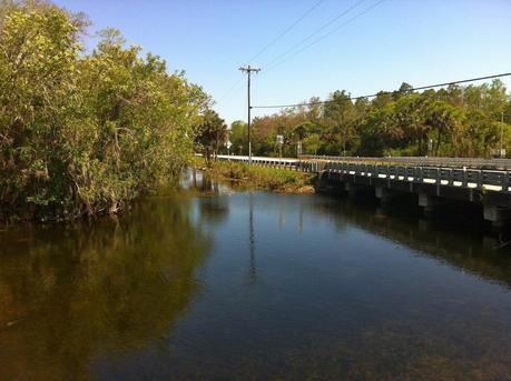 Everglades: da Naples a Miami.