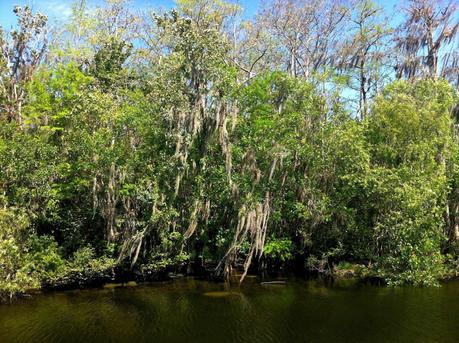 Everglades: da Naples a Miami.