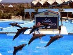 Zoomarine presenta la grande apertura stagionale 2014