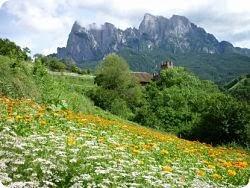 Alpe di Siusi Pet Friendly