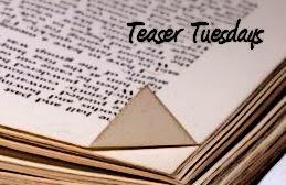 Teaser Tuesdays (97): Vanish