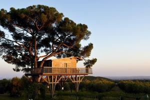 La Piantata Italie. Lazio. Piantata house. The Black cabin