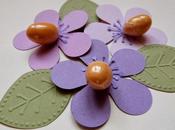 Dolci fiori