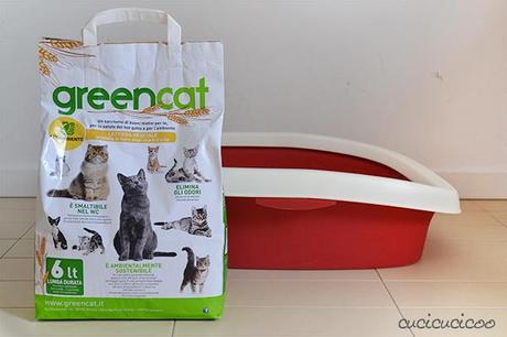 Green Cat lettiera ecologica per gatti: una recensione