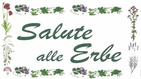 udine_salute-alle-erbe_b