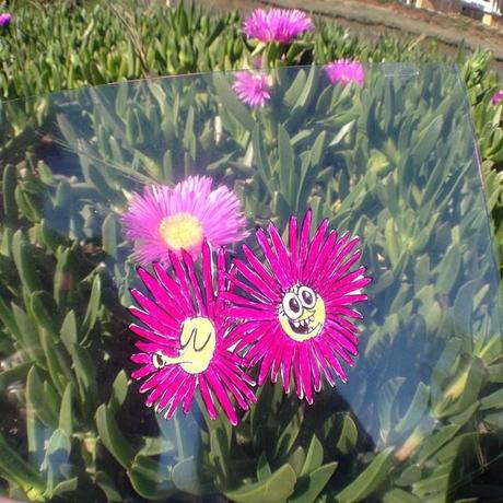 marty_cooper_ilovegreen_6