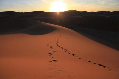 Sahara - Marocco