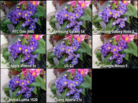 Colors Fotocamere a confronto: HTC One (M8), Galaxy S4, Note 3, iPhone 5S, LG G2, Nexus 5, Lumia 1520, Xperia Z1S