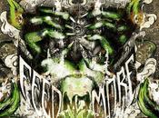 FEED MORE, Feed More