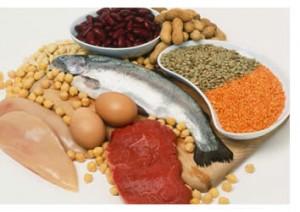 La dieta iperproteica e il rischio renale