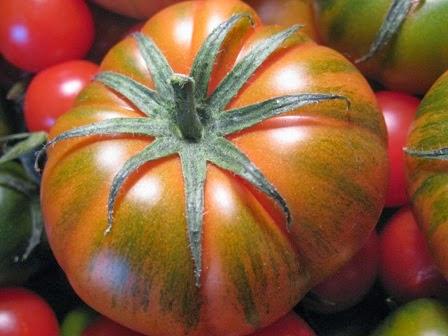 L a crudaiola e il sughetto con il lardo ma... con i pomodori di Pachino!!!